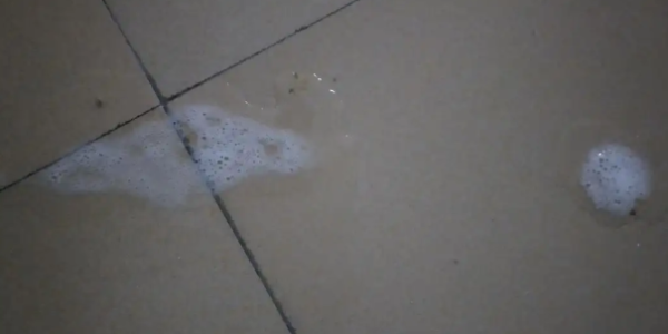 Cat spits white mucus or foam